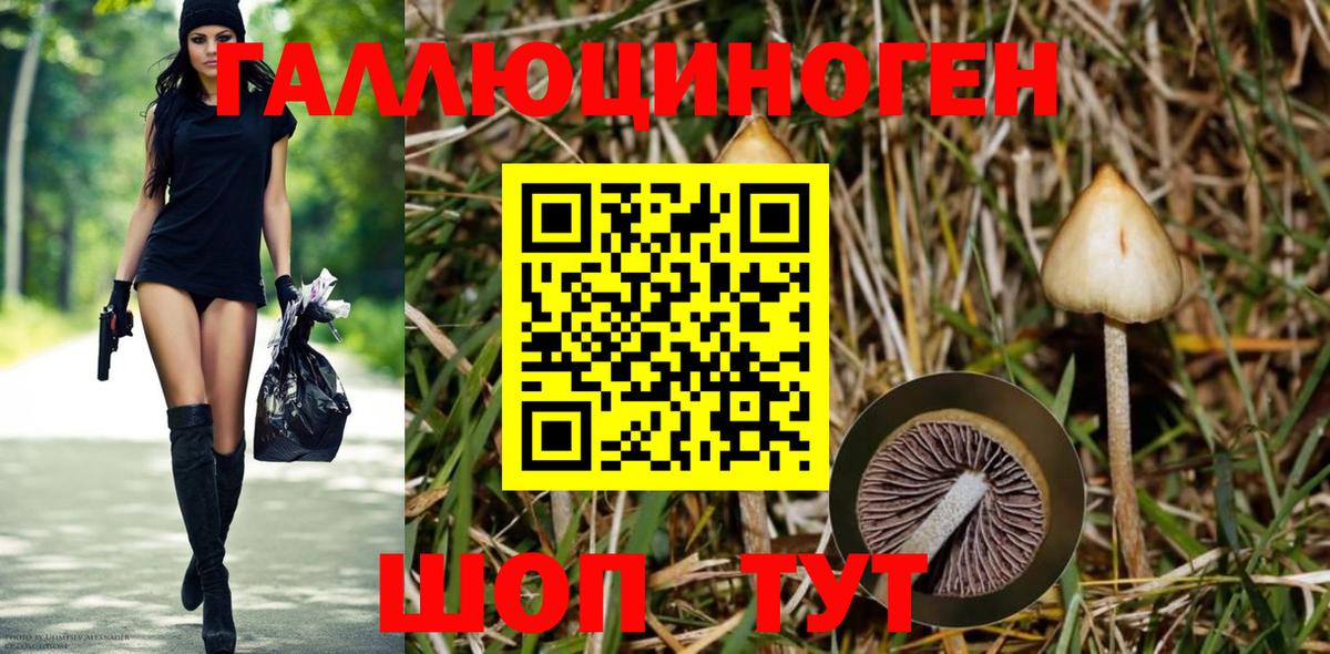 Галлюциногенные грибы MAGIC MUSHROOMS  Вход с VPN  хочу наркоту  Знаменск 